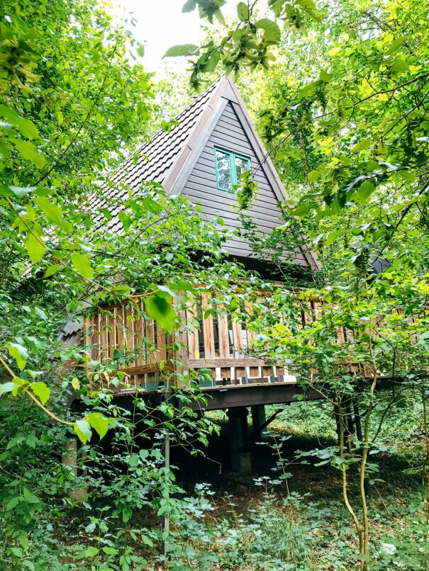 Boshuisje huren - balkon en bos close up
