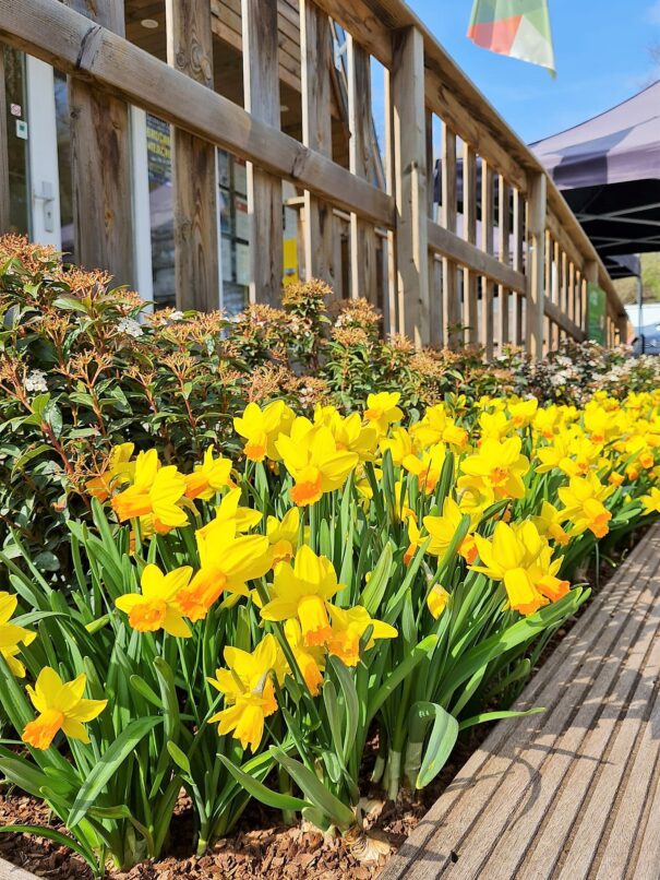 receptie vakantiepark sunclass durbuy 2