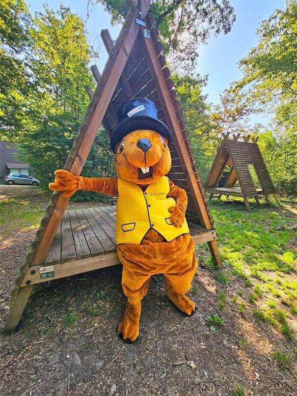 sunny sunclass durbuy